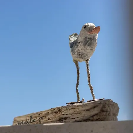 Apartamento Mina Split